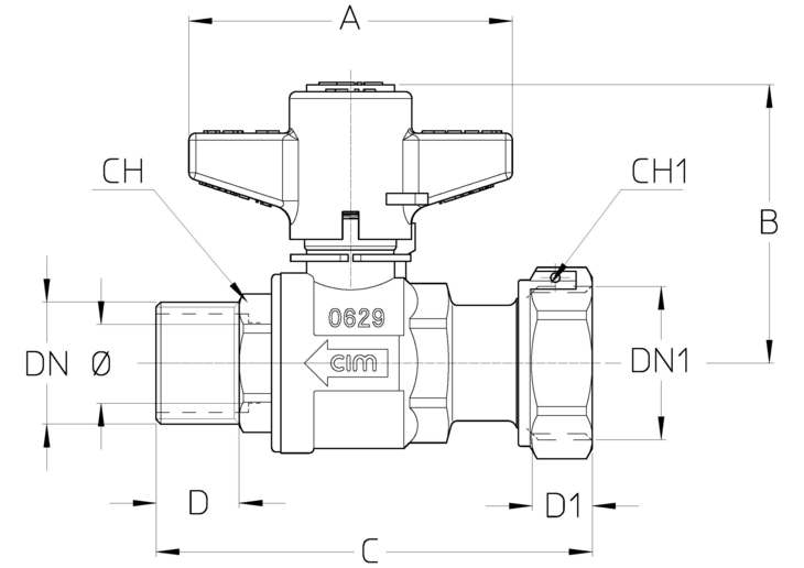 205_F21DTT.jpg