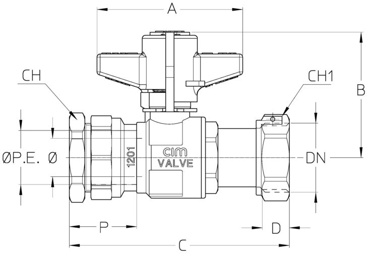 283F21DTT.jpg